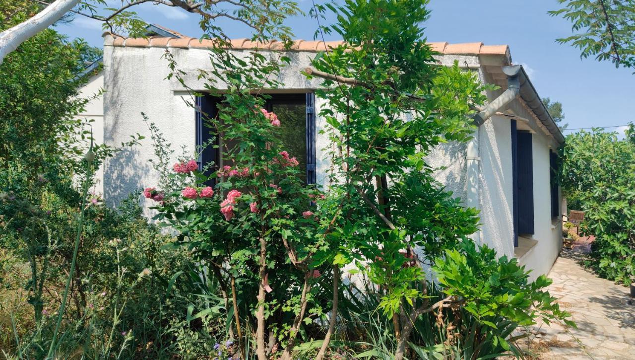 Privatunterkunft Privee Dans Maison En Garrigue Nîmes